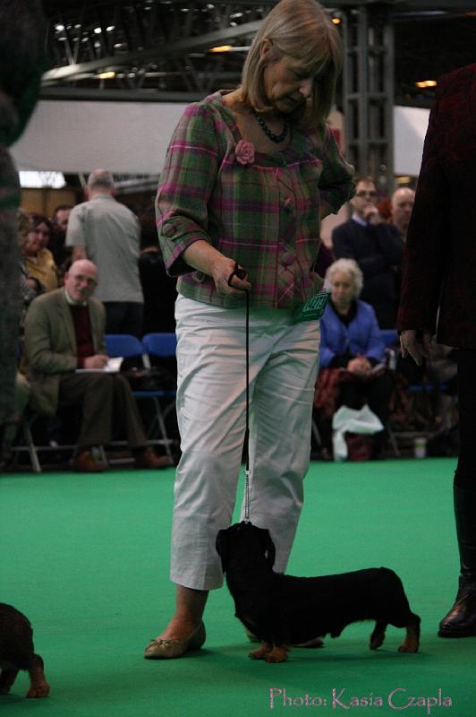 Crufts2011_2 922.jpg